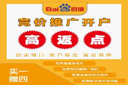 竞价广告的智能投放：XX平台的创新实践